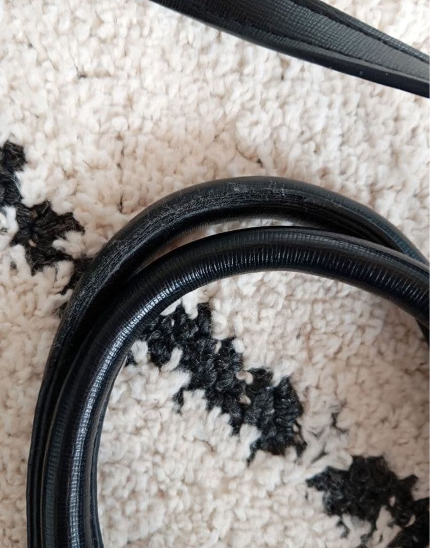 PRADA ムーンパデット バッグ 2way ノベルティ