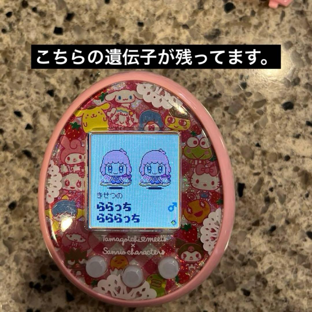 たまごっちみーつ　サンリオみーつ　たまごっちミーツ　サンリオ　箱あり