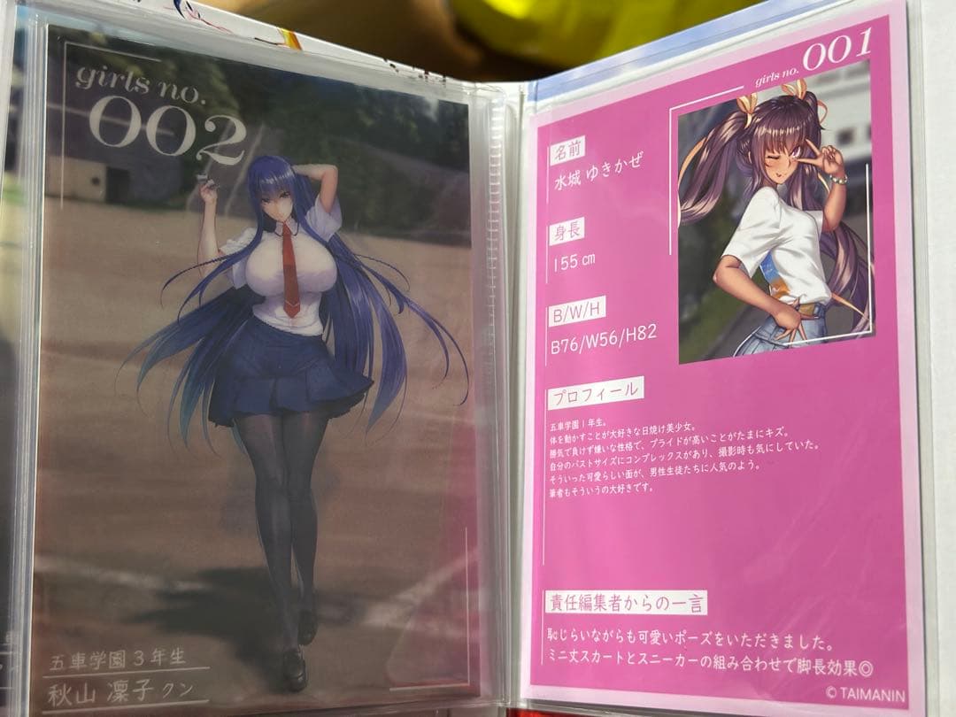 対魔忍RPGX 3Dカードホルダー Vol.1+3Dカード001〜010