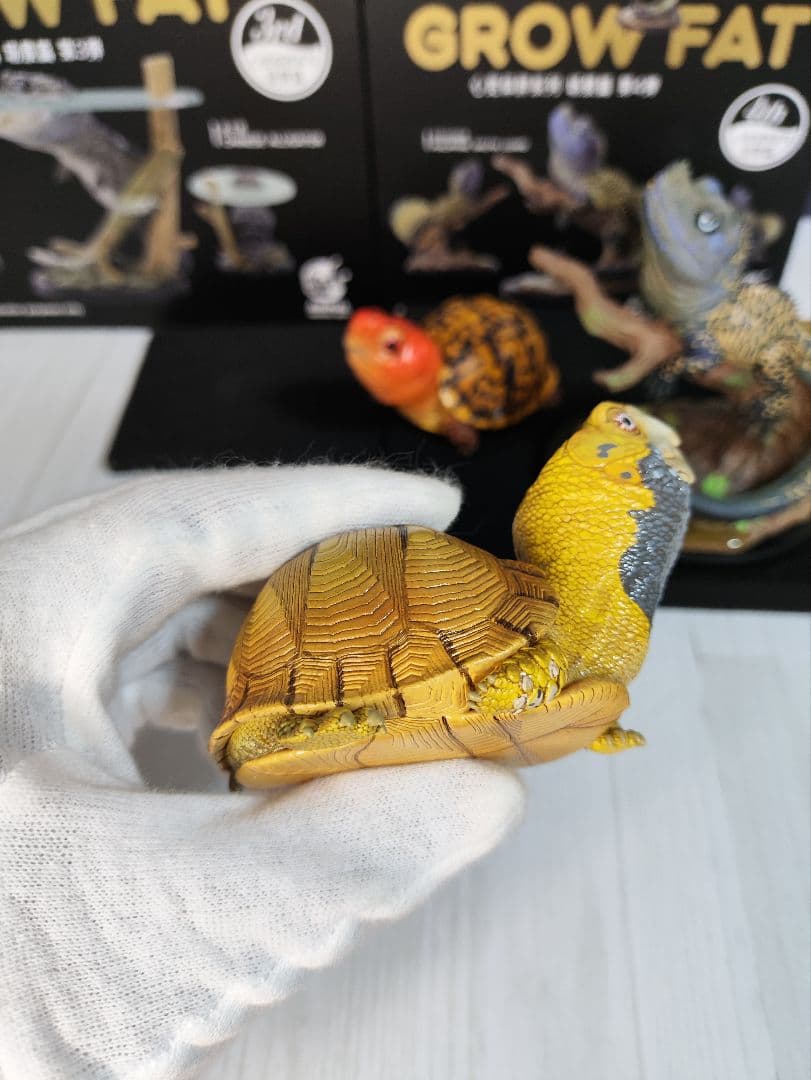 【動物の惑星】★上海展覧会限定ハコガメ2種類★ジオラマ第3、4弾! フィギュア