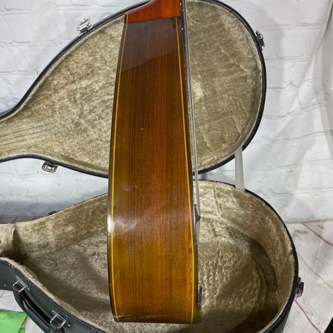 SUZUKI MANDOCELLO スズキ マンドチェロ MC-836