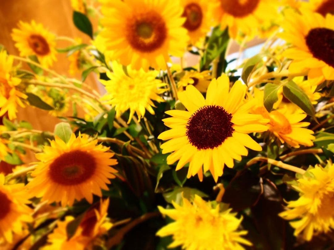 【セット】OLYMPUS OM-D E-M5 　レンズセット