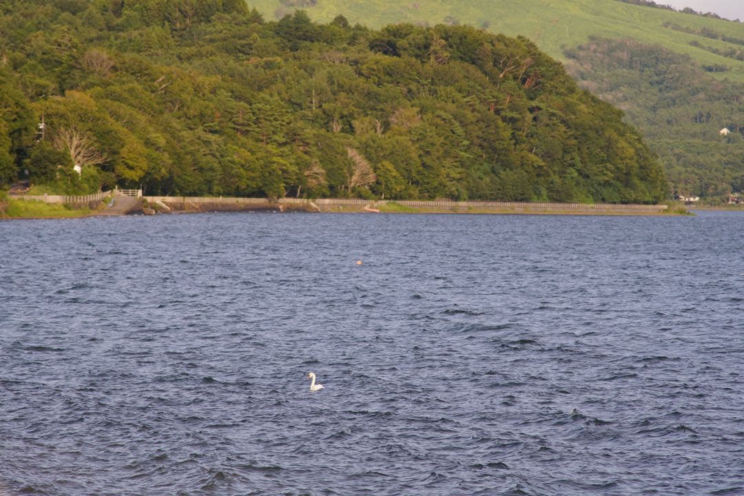 RMC Tokina 200mm Kマウント f:3.5 8300903