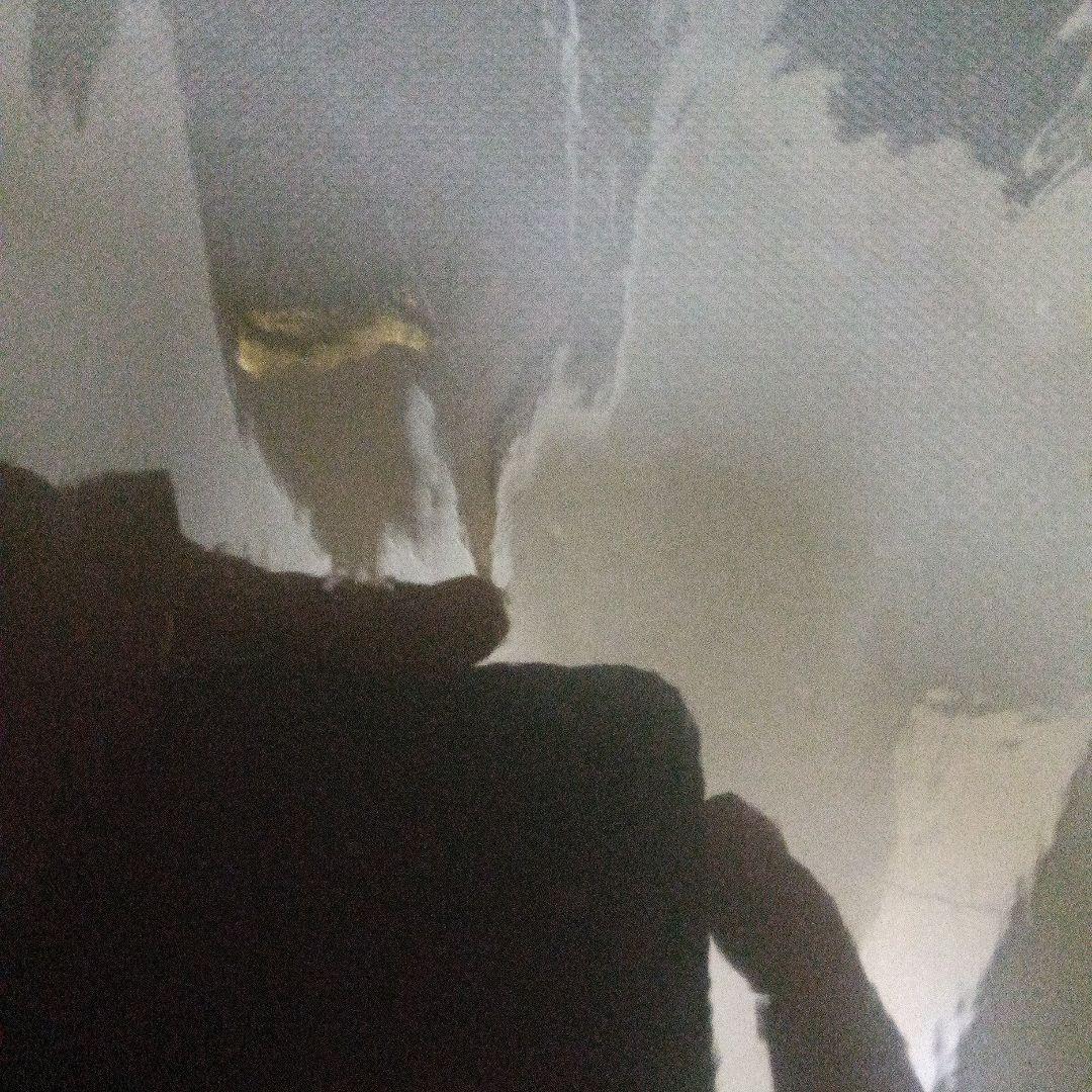 幸祜シンギュラリティライブボリューム2シルバーネックレス