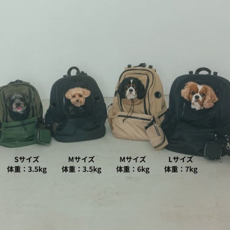 【新品】未使用 MATIE ペットリュック Mサイズ 犬用 ブラック