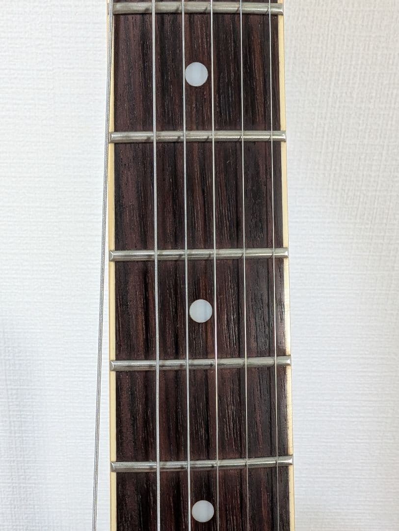 【美品・動作良好】エピフォン ワイルドキャット WILDKAT STUDIO