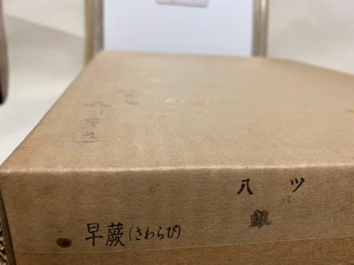 秋瞑菊　色紙画