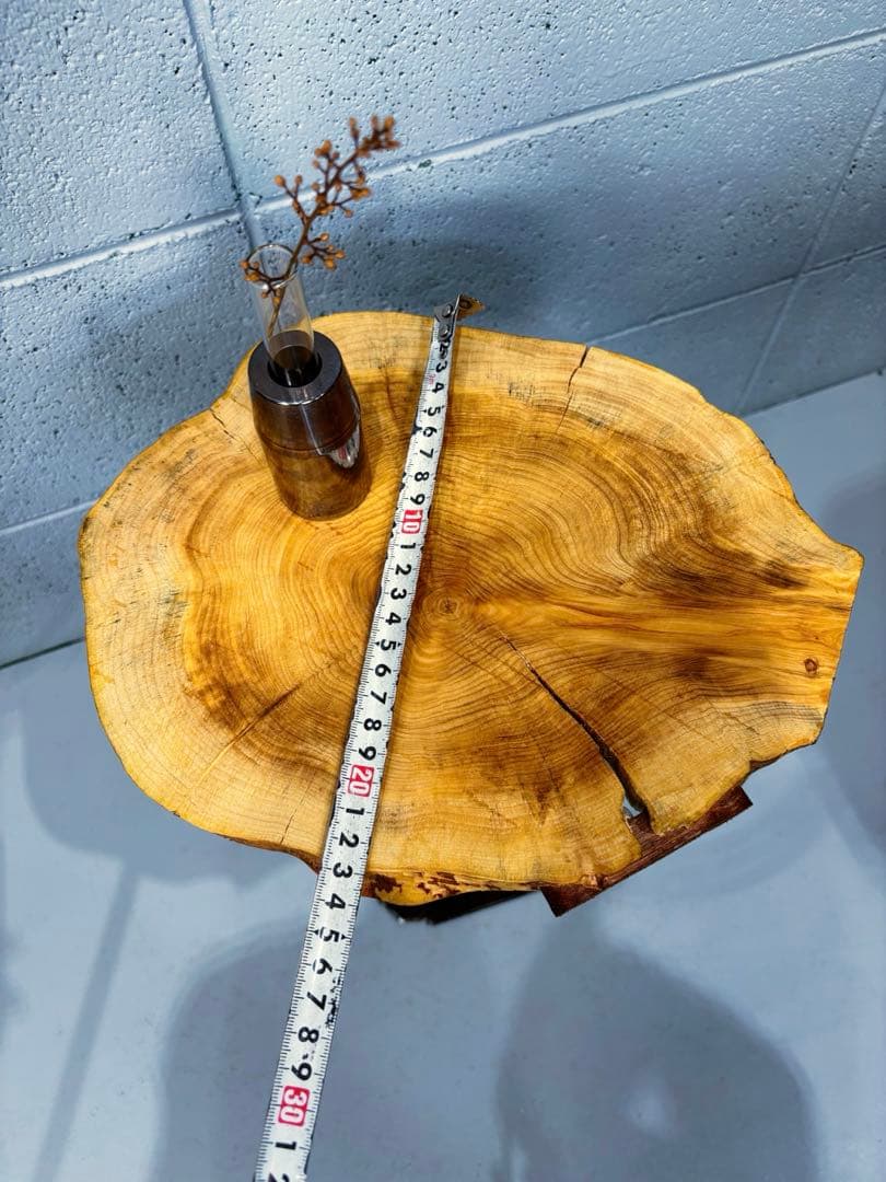 榧輪切りサイドテーブル　ナイトテーブル　コーヒーテーブル　観葉植物起き