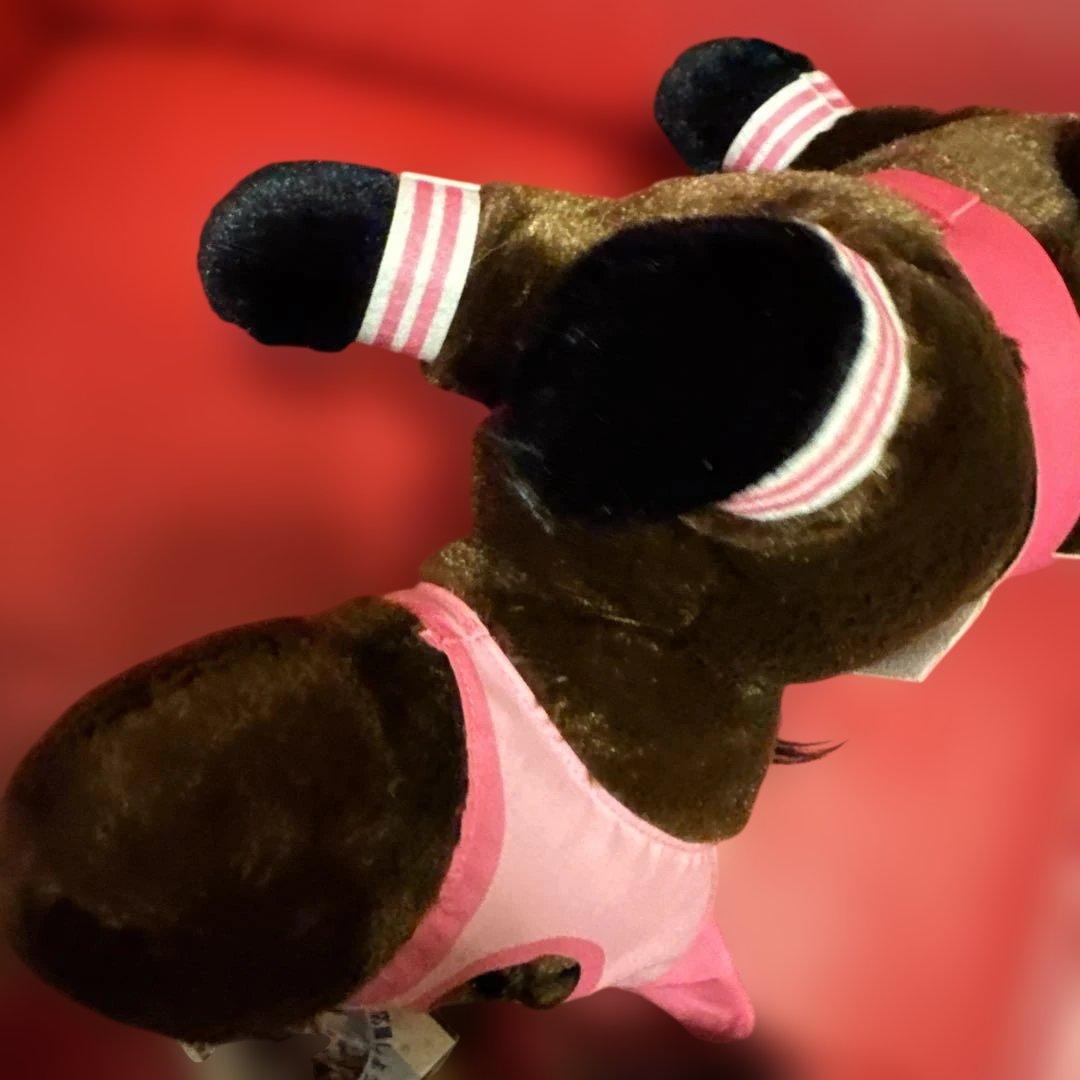 高知競馬♡ハルウララ　ぬいぐるみ＆ストラップ　まとめ売り　ピンク/にんじん/ぞう