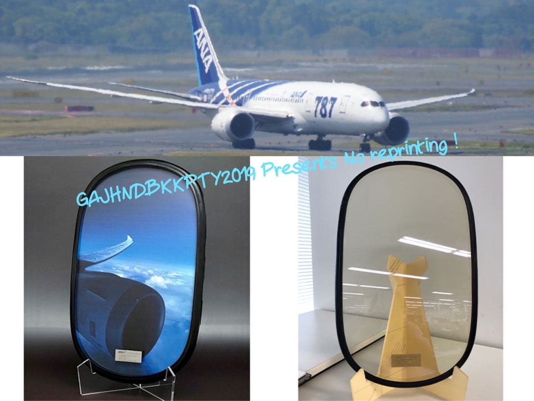 貴重 ANA B 787 客室 窓 実機取り卸し 機窓 プレート フォトスタンド