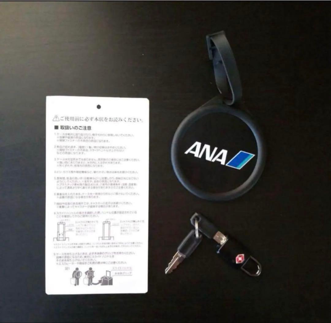 ANAオリジナル商品　機内持ち込みサイズキャリーケース