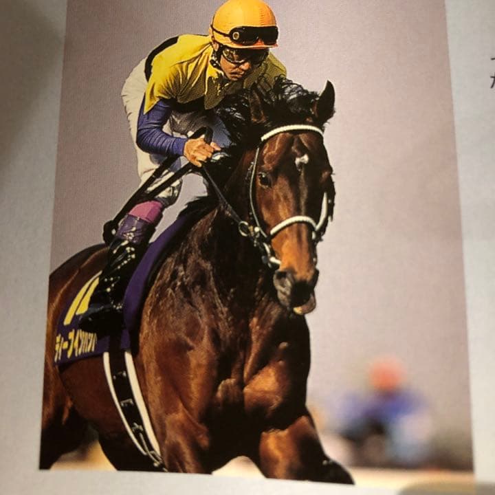 KYUN Koubouさま専用