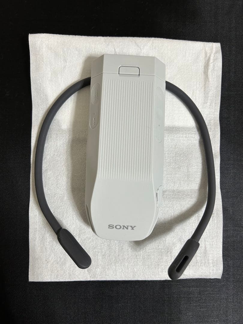 【美品】SONY REON POCKET PRO　ソニー レオンポケットプロ