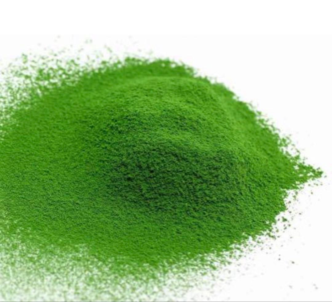 丸久小山園　抹茶　千木の白100g×２袋