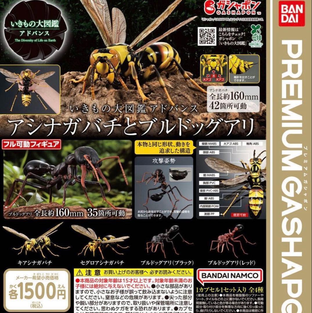 いきもの大図鑑アドバンス　アシナガバチ　ブルドッグアリ　4種セット　コンプリート