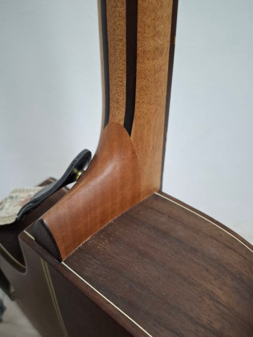 （専用）アコースティックギター　ROSSO R-5 IS18982909