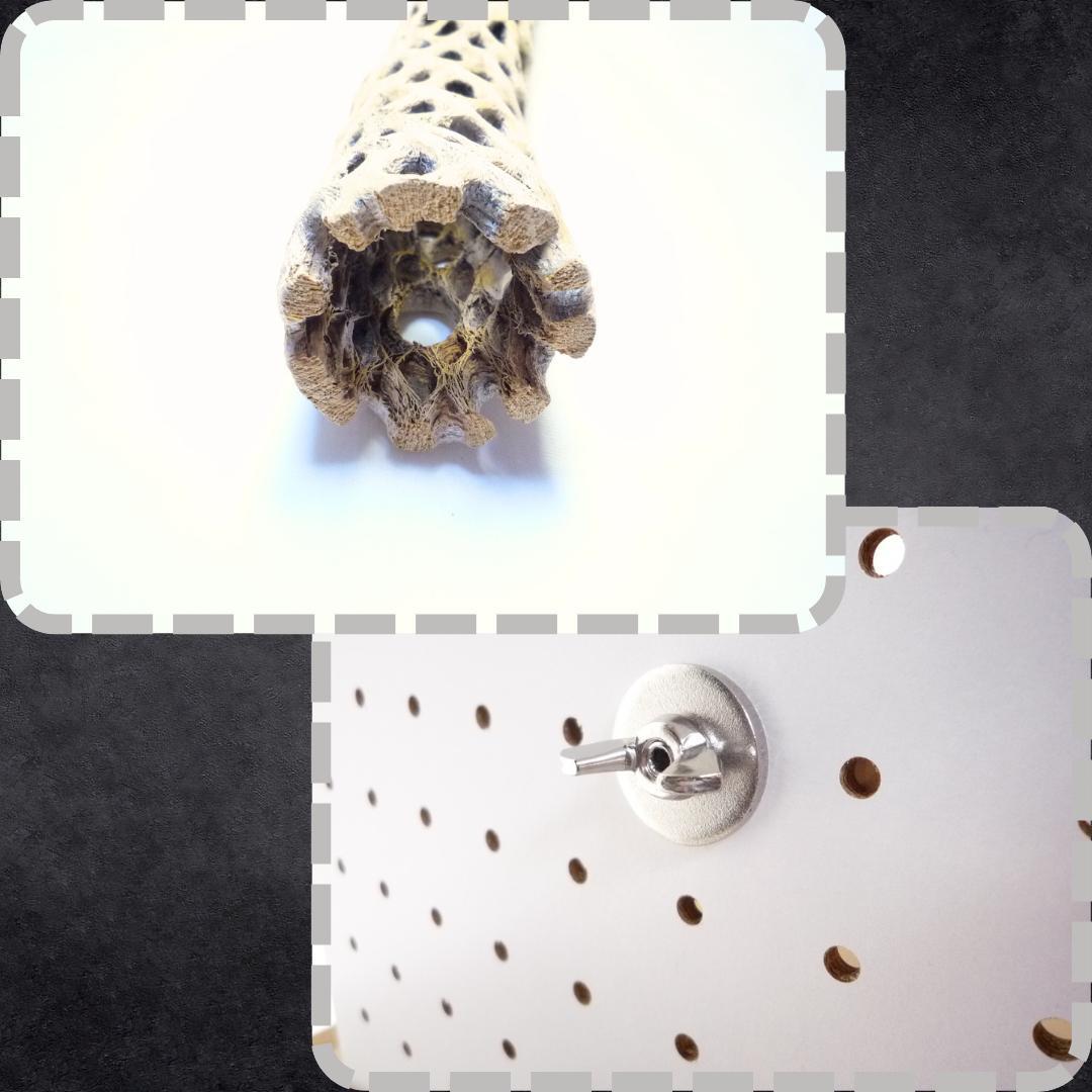 鳥用品　止まり木　カクタス　スケルトン　パーチ　特大No.216