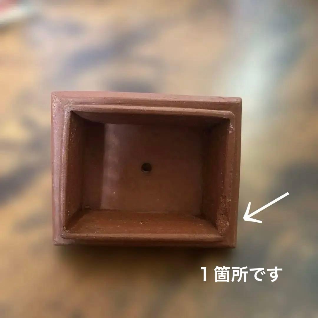 唐物　宜興紫砂　色絵花文　朱泥急須　単孔口　煎茶道具 ヴィンテージ 中国茶器