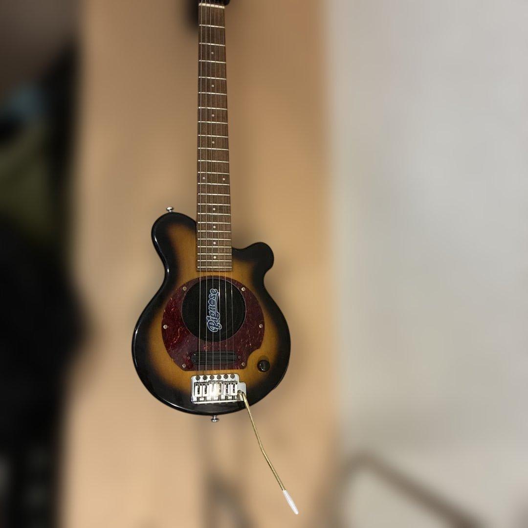 ピグノーズPGG100 サンバースト