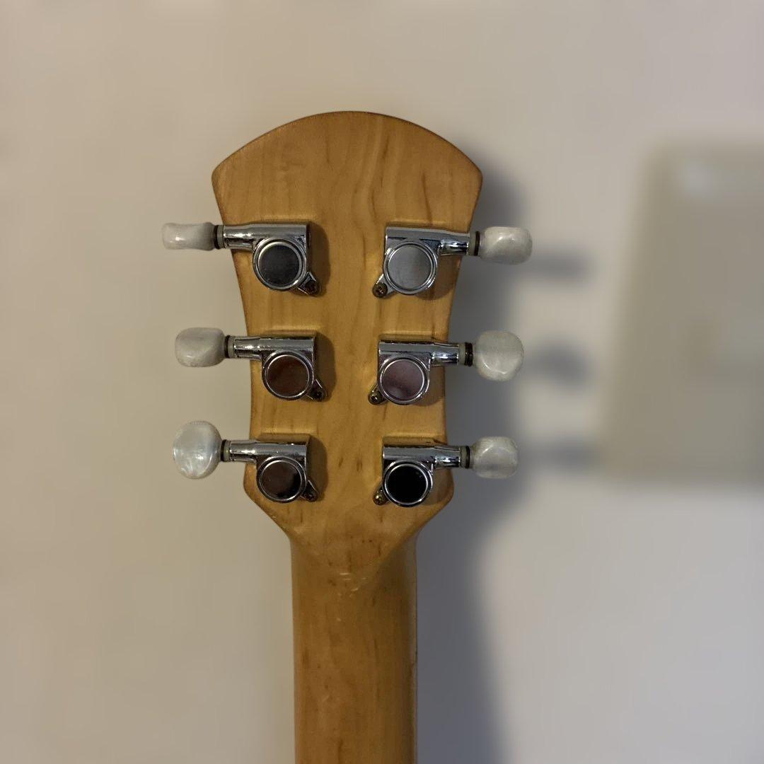 ピグノーズPGG100 サンバースト