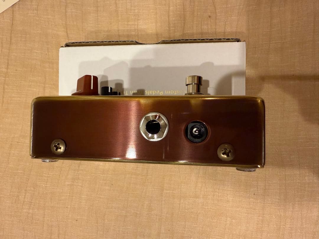 ギター VEMURAM Budi g