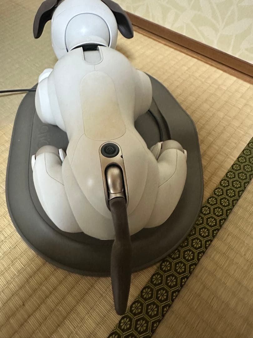 SONY AIBO☆アイボリーホワイト☆動作確認済