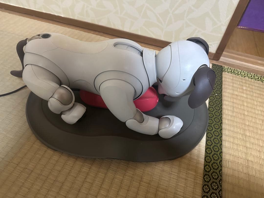 SONY AIBO☆アイボリーホワイト☆動作確認済