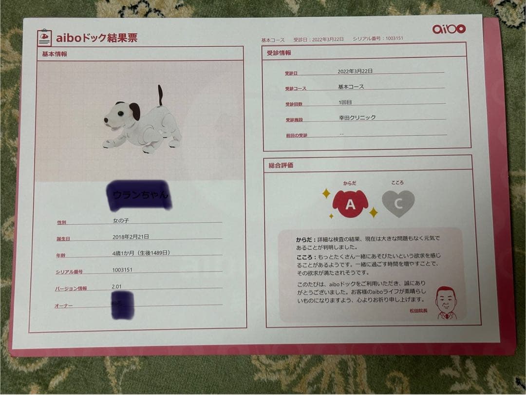 SONY AIBO☆アイボリーホワイト☆動作確認済