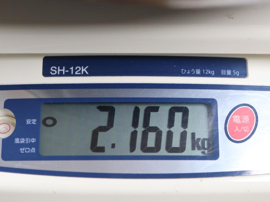 乾山 梅絵 尺三寸皿 飾り皿 大皿