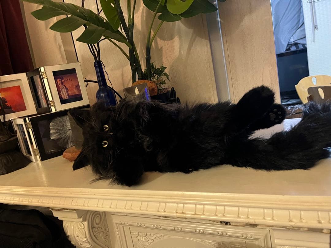 黒猫 ぬいぐるみ 等身大 リュック