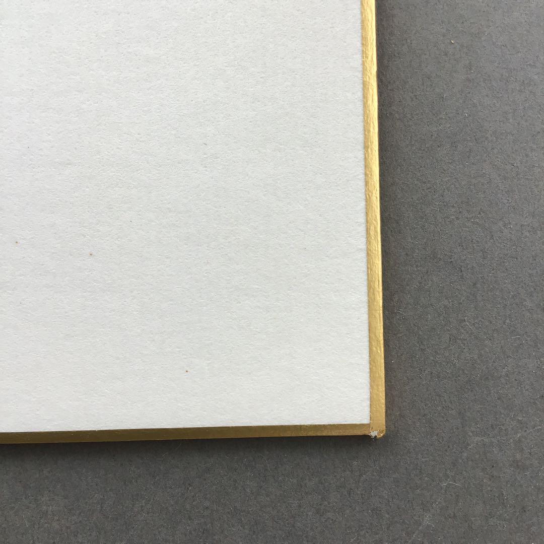 色紙　臨済宗相国寺　記念　松國大龍　畳紙　配送用袋　S1030SSD