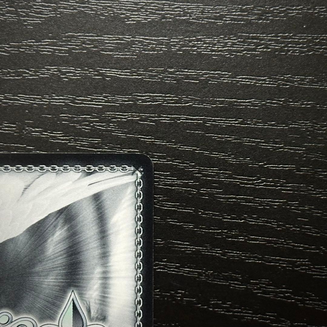 WS 芽生えた信頼 中野五月 SSP サイン