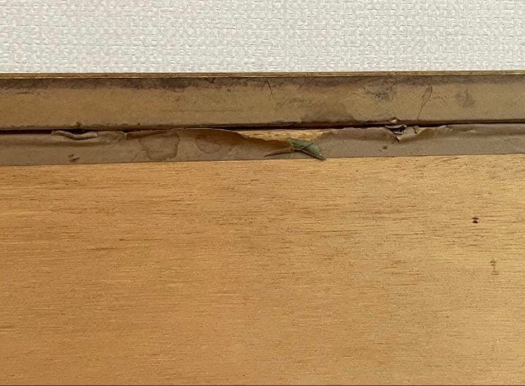 グスタフ・クリムト　バウアーの肖像 レプリカ　難あり