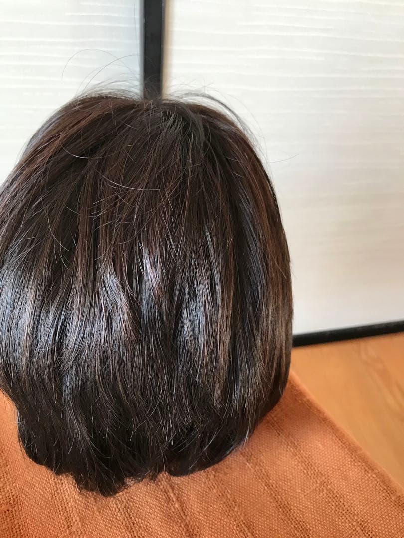 フェザー レオンカウィッグ EX-15 F4モダアクリル人毛