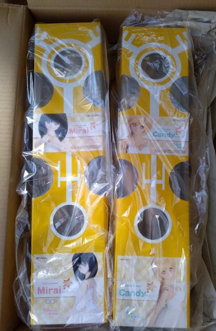 ◆DD キャンディ＆未来 スタンダード  Memorial Edition