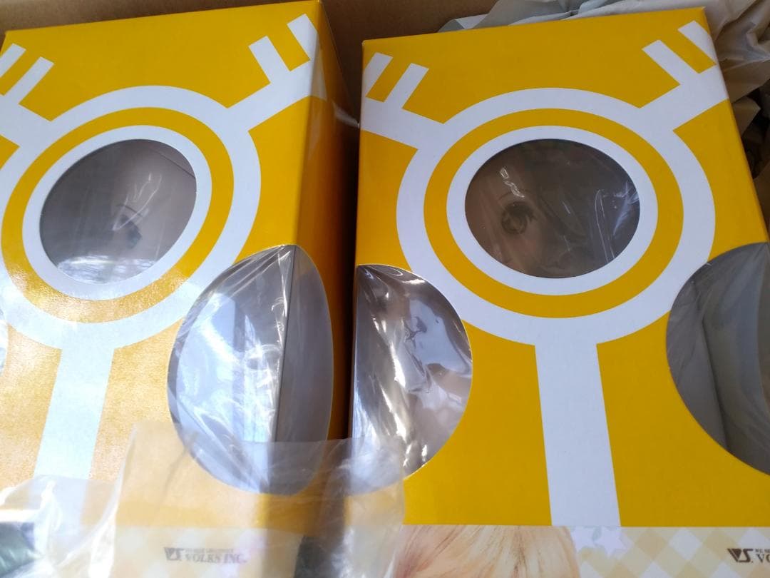 ◆DD キャンディ＆未来 スタンダード  Memorial Edition