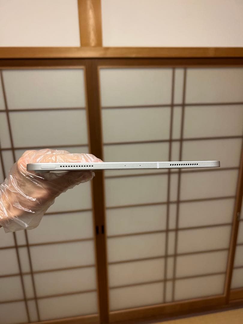 iPad Pro 11インチ 第1 512GB SIMフリー AppleCare