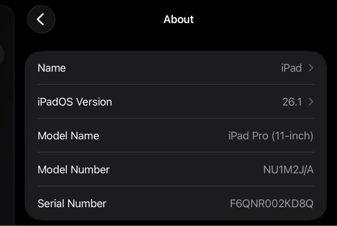 iPad Pro 11インチ 第1 512GB SIMフリー AppleCare
