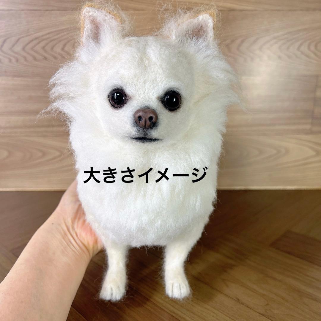 チャッピー様　追加オーダー専用　羊毛フェルト　犬　チワワ