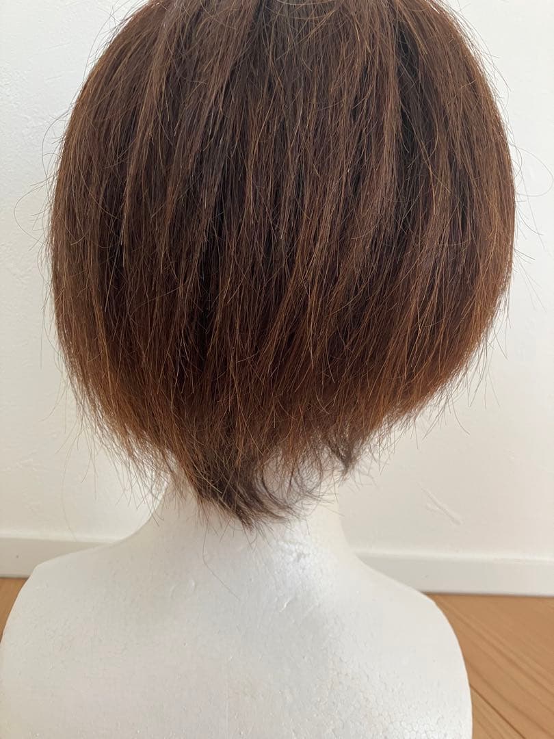 【お値下げ】医療用　フルウィッグ　人毛100％　ダークブラウン