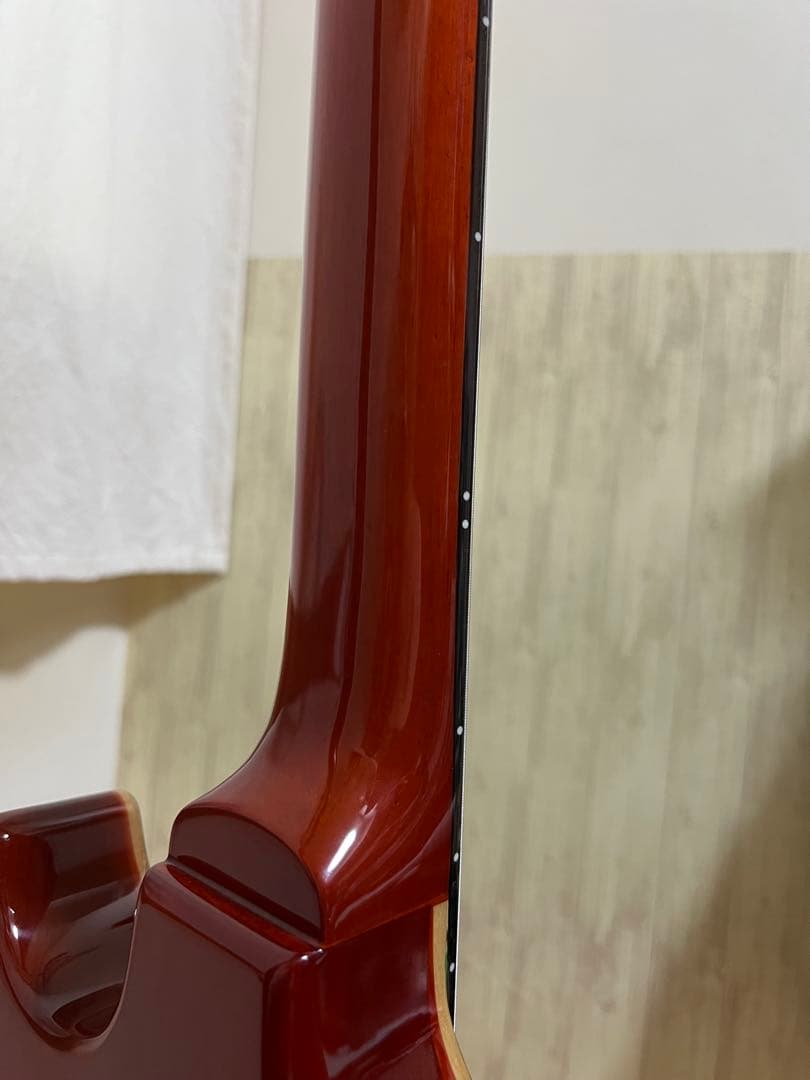 GrassRoots G-SR-IGUANA 横山健 モデル