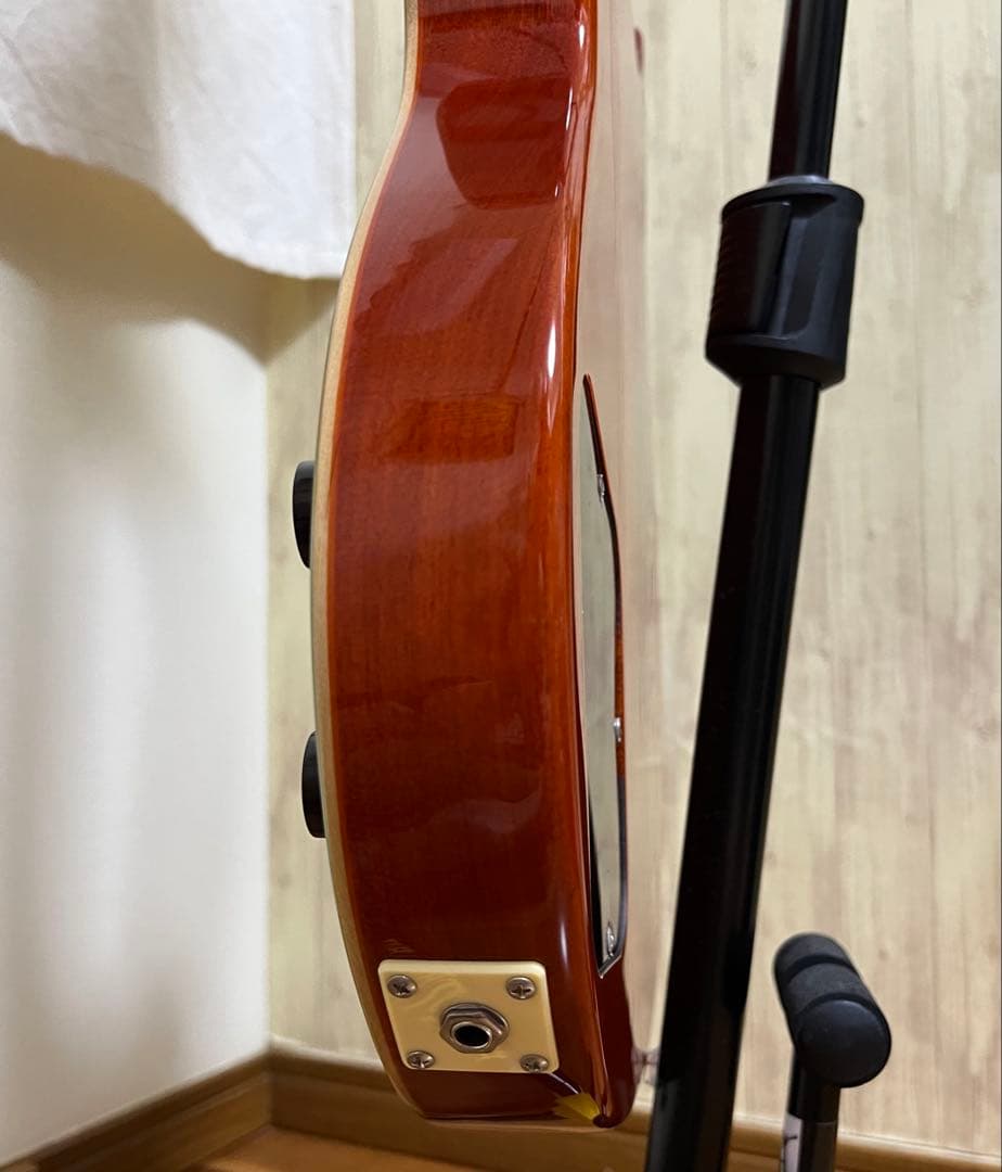 GrassRoots G-SR-IGUANA 横山健 モデル