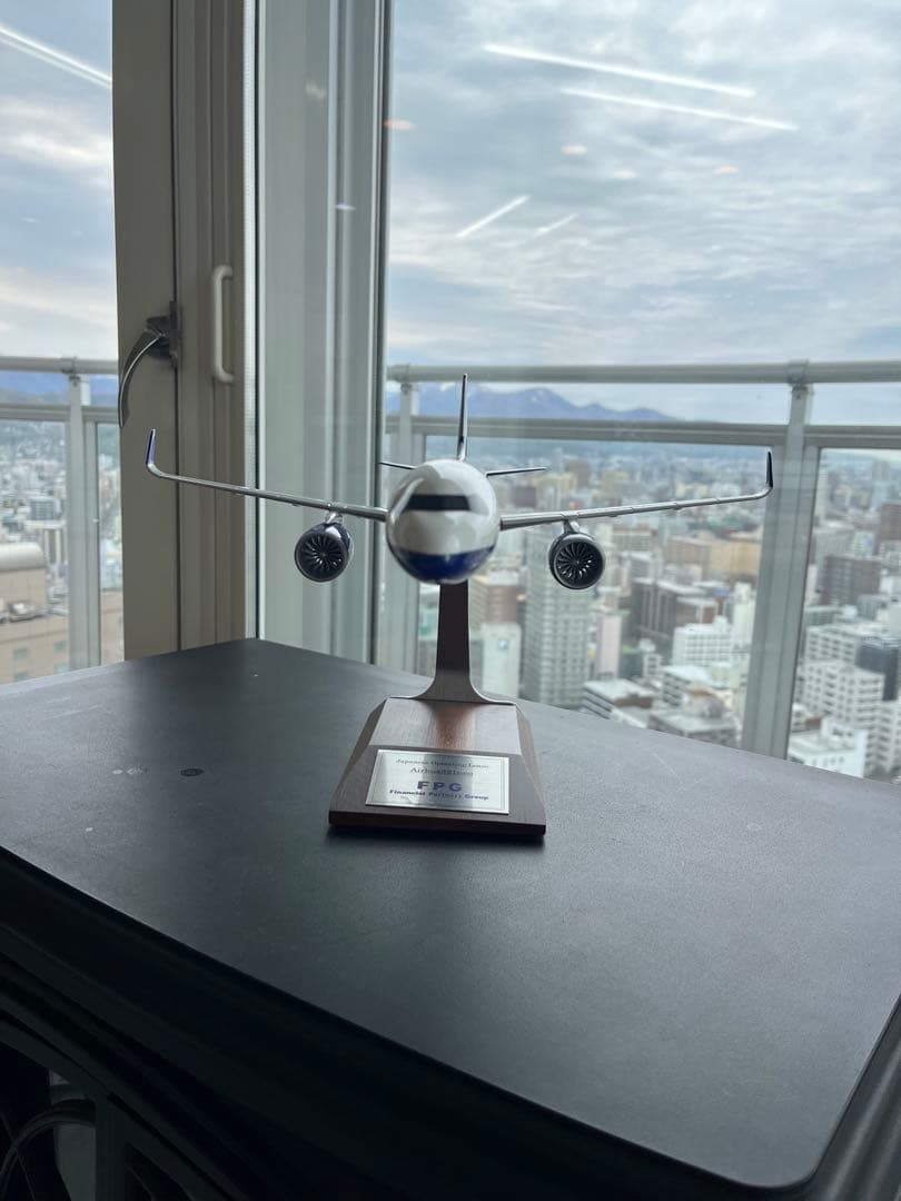 FPG 航空機モデル プラスチック製 約30cm