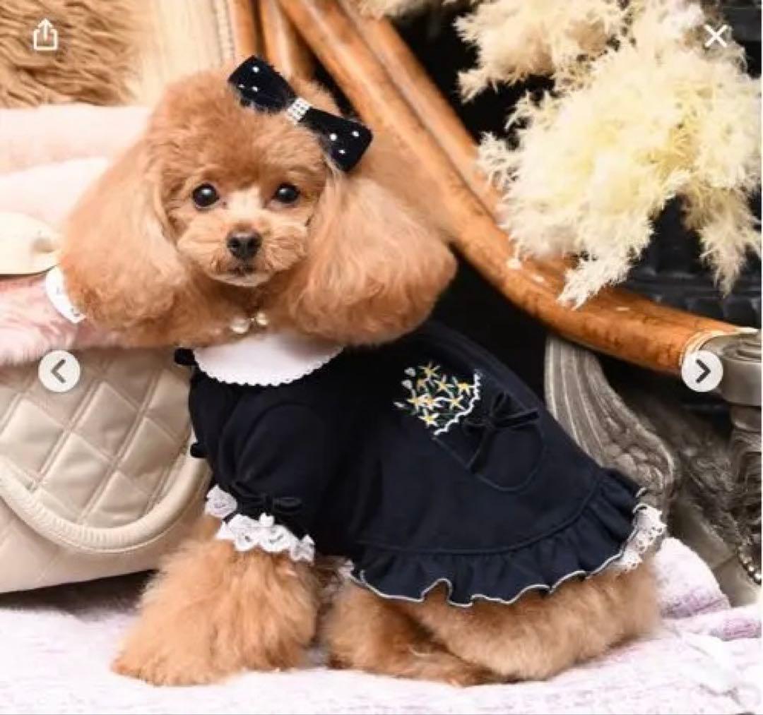 ☆リュクスバーディ☆ロマンヌワンピース　SS Luxe birdie