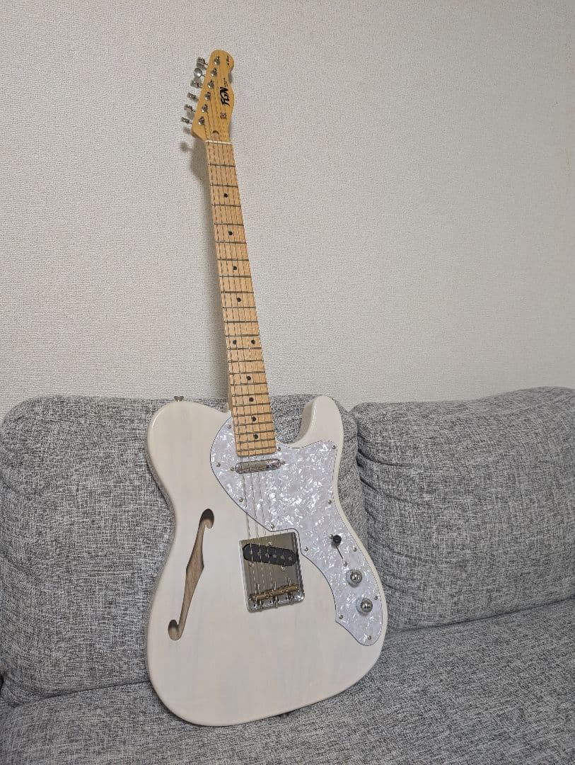 フジゲン テレキャスターシンライン