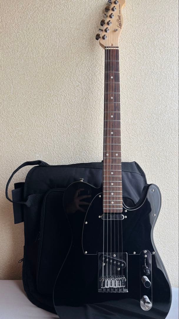 Laid Back テレキャス エレキギター LTL-5-R-SS VBK