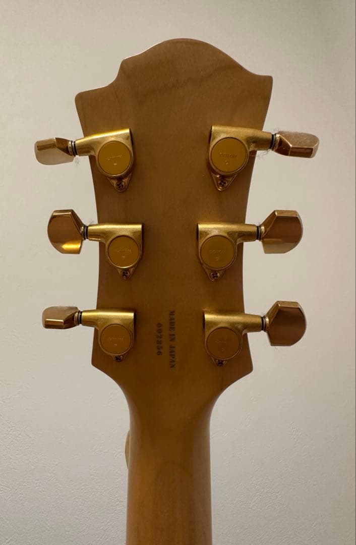 フェルナンデス/モッキンバード hideモデル/ブラック