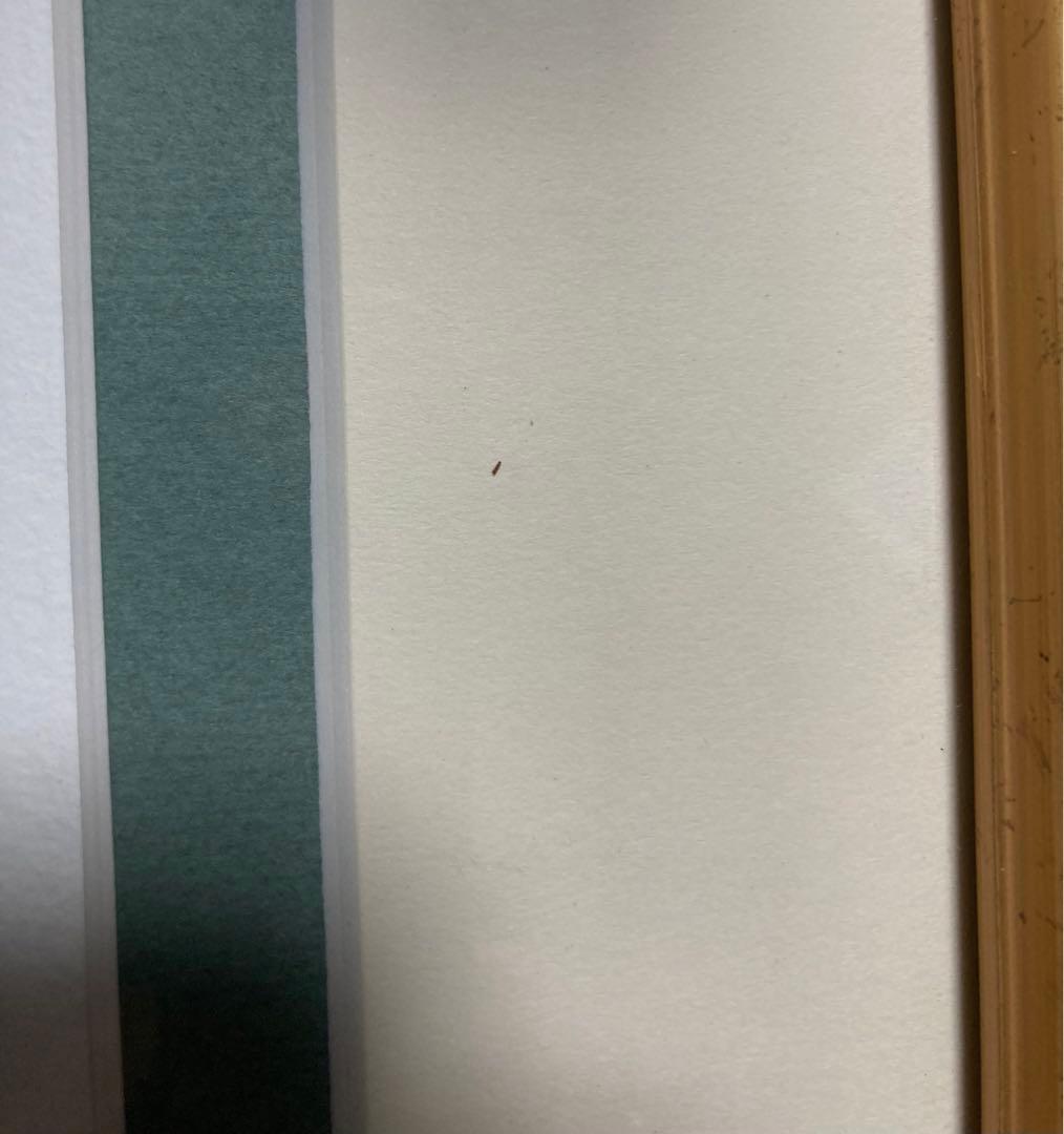 ♬未使用♬わちふぃーるど♬ダヤン♬版画♬限定250部♬ぼくうちへ帰ろう！サイン♬