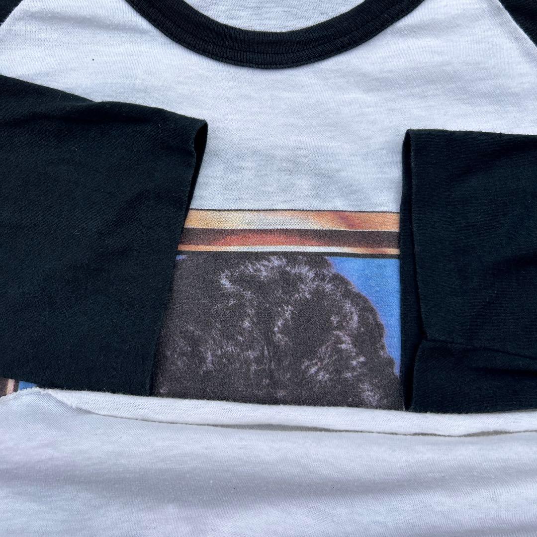 80s USA製 EDDIE RABBITT Tシャツ バンT コピーライト