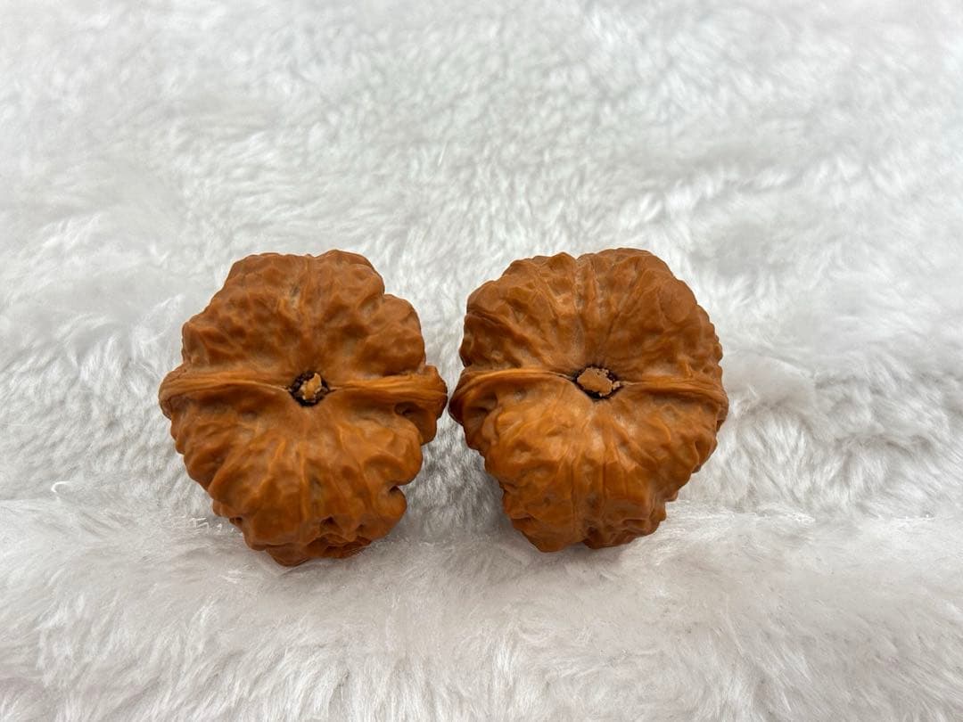 三角蛤蟆頭1（サイズ40） クルミ